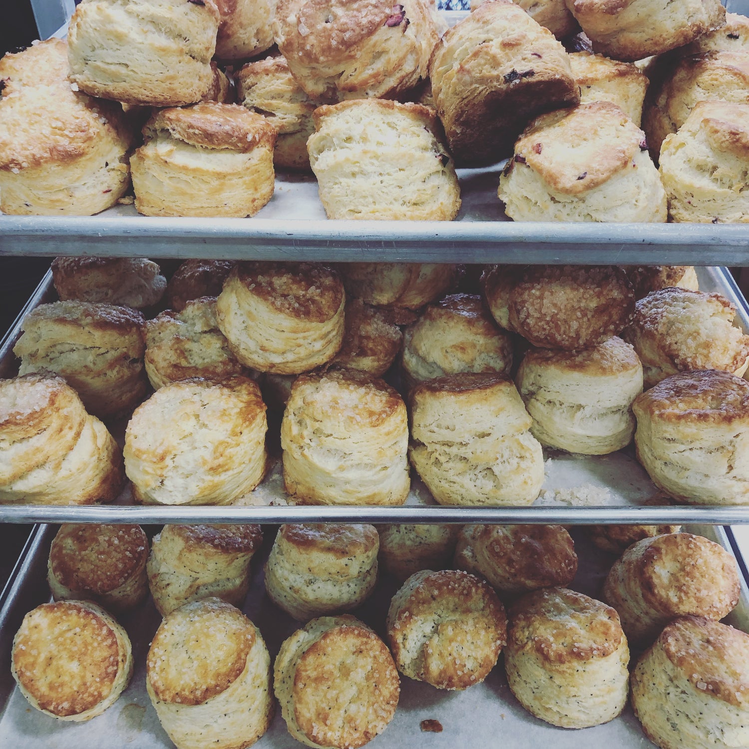 close up view of 3 trays of freshly baked scones stacked vertically on a rack
