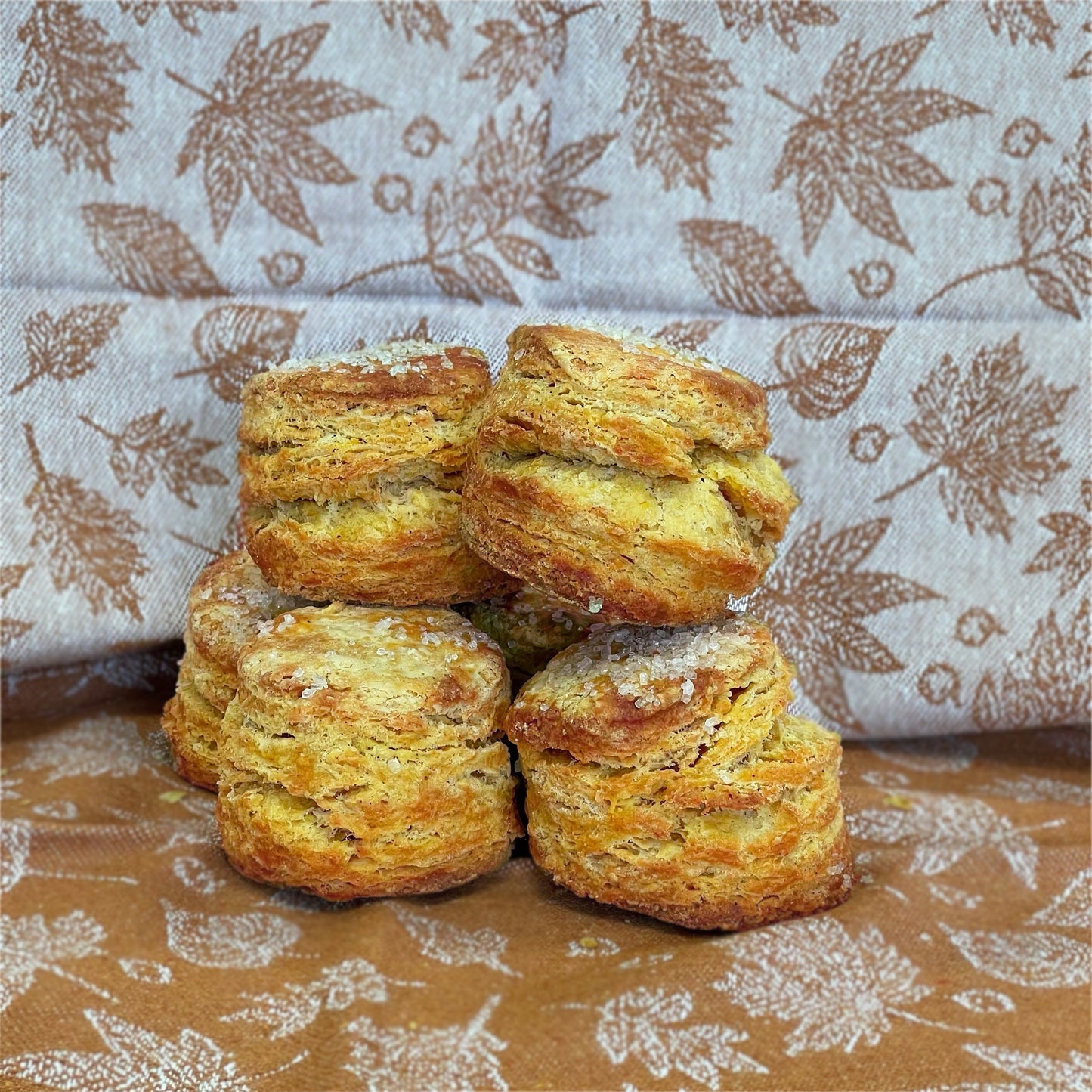 Pumpkin Scones (Ready to Bake)